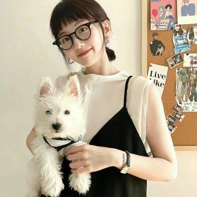 黑帮掌门人