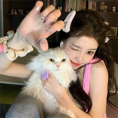 大怪兽卡美拉